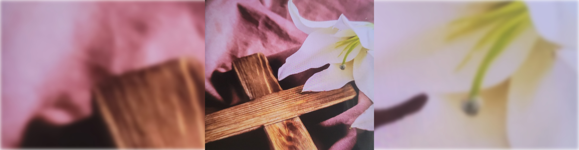 orchid and cross on a sheet